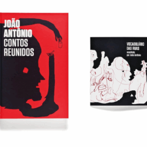 Contos Reunidos - João Antonio